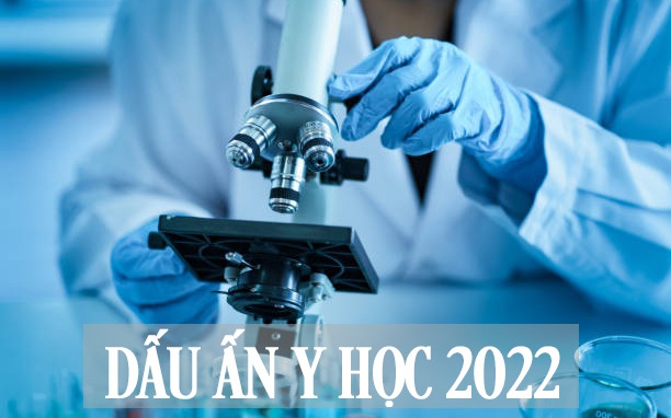 [Infographic] 4 dấu ấn y học thế giới năm 2022