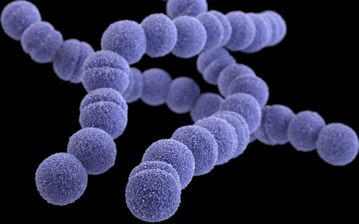 Liên cầu khuẩn nhóm A (Streptococcus) khiến 6 trẻ em ở Anh quốc thiệt mạng nguy hiểm thế nào?