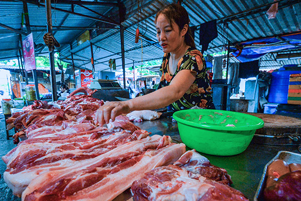 Phải chấm dứt tình trạng nhập lậu động vật để nguồn thịt lợn trong nước đảm bảo an toàn vệ sinh thực phẩm- Ảnh 3.