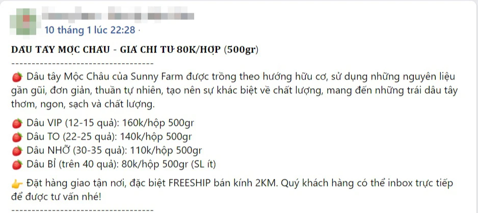 Dâu tây Mộc Châu &quot;nhuộm đỏ&quot; chợ mạng, loại rẻ nhất giá chỉ 110k/kg - Ảnh 6.