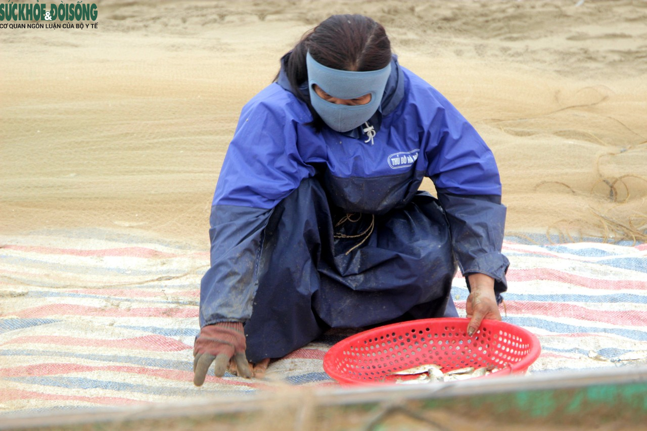 Ngư dân Hà Tĩnh được mùa cá trích - Ảnh 10.