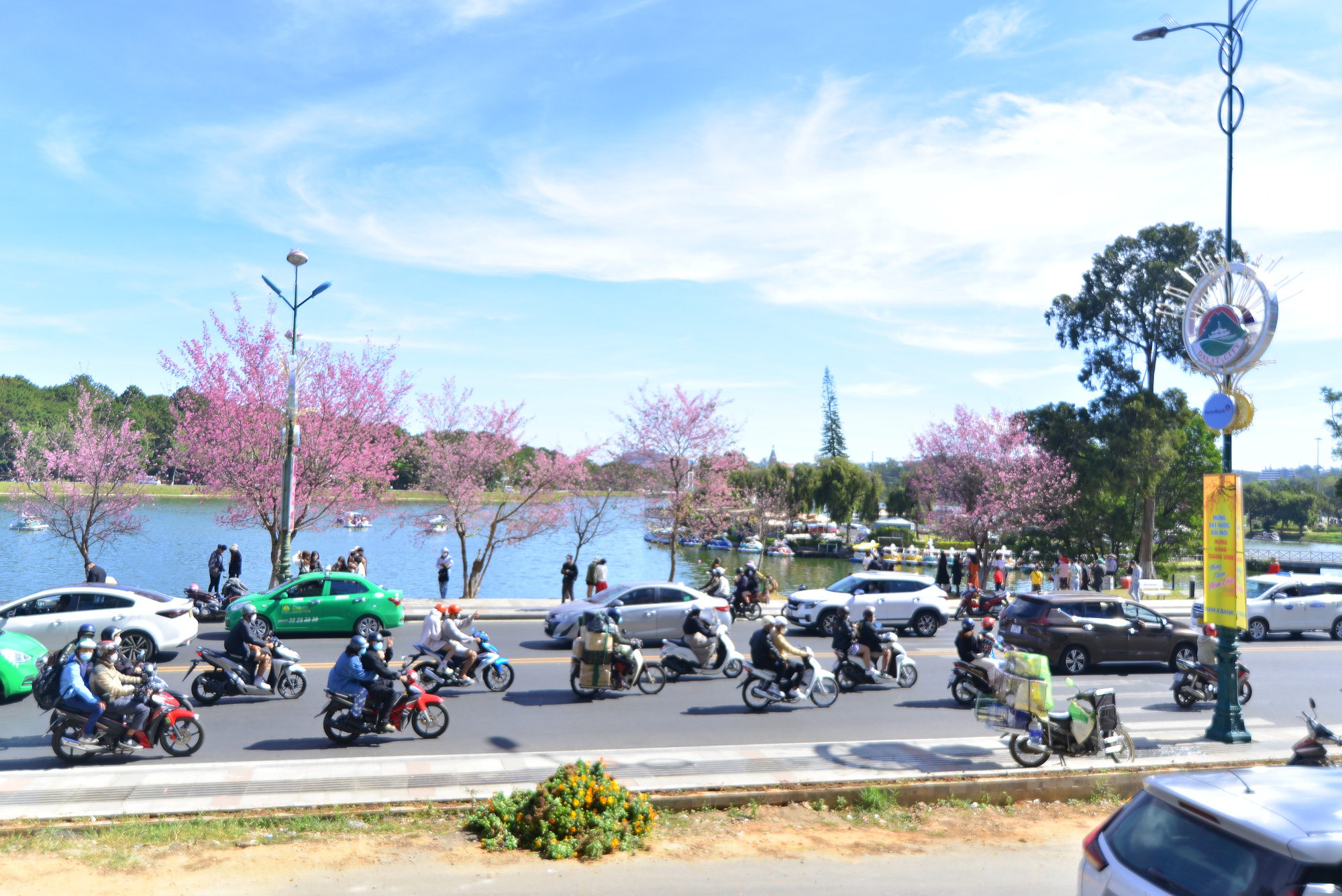 Mải mê bên hoa Mai Anh Đào đừng quên phòng dịch COVID-19 - Ảnh 2.