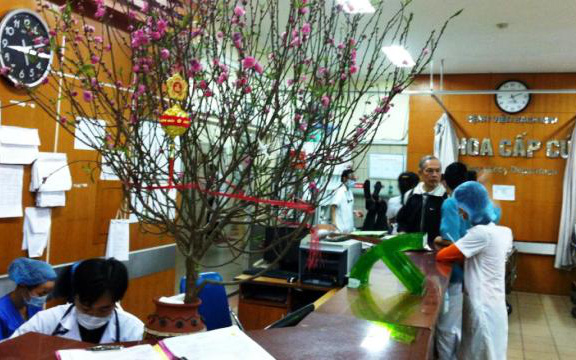 Trực tết