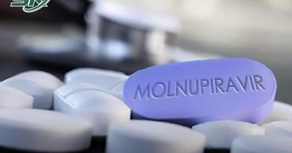 Đối tượng nào không được dùng thuốc kháng virus Molnupiravir để điều trị COVID-19?