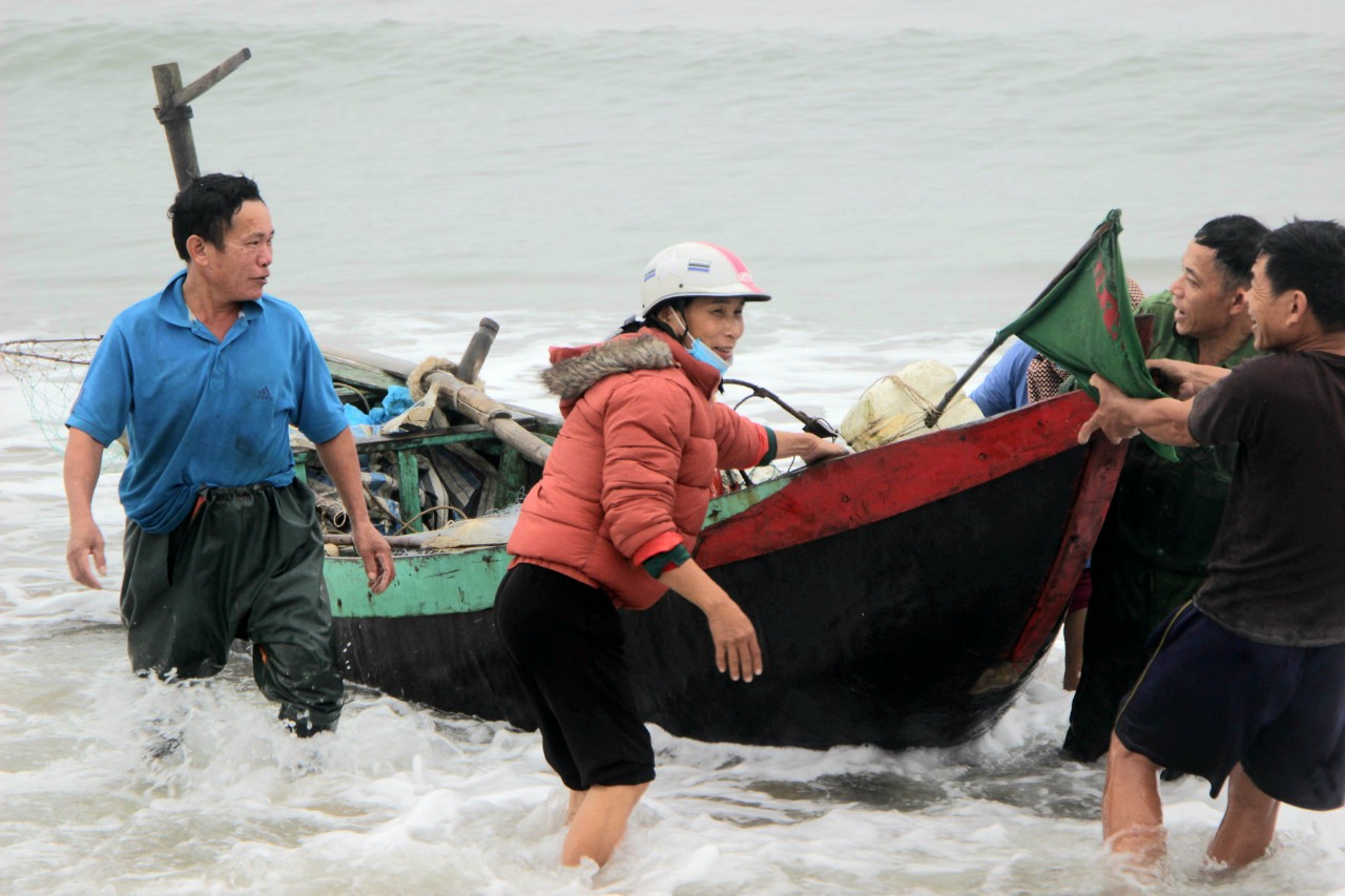 Sứa biển vào mùa, ngư dân Hà Tĩnh &quot;đội rét&quot; thu về hàng triệu đồng mỗi ngày  - Ảnh 1.