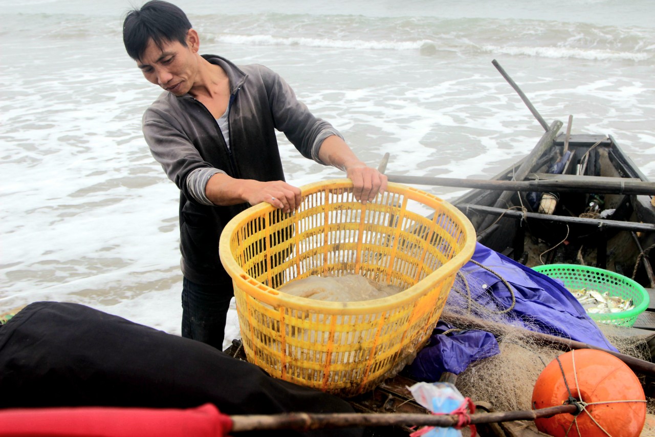 Sứa biển vào mùa, ngư dân Hà Tĩnh &quot;đội rét&quot; thu về hàng triệu đồng mỗi ngày  - Ảnh 11.