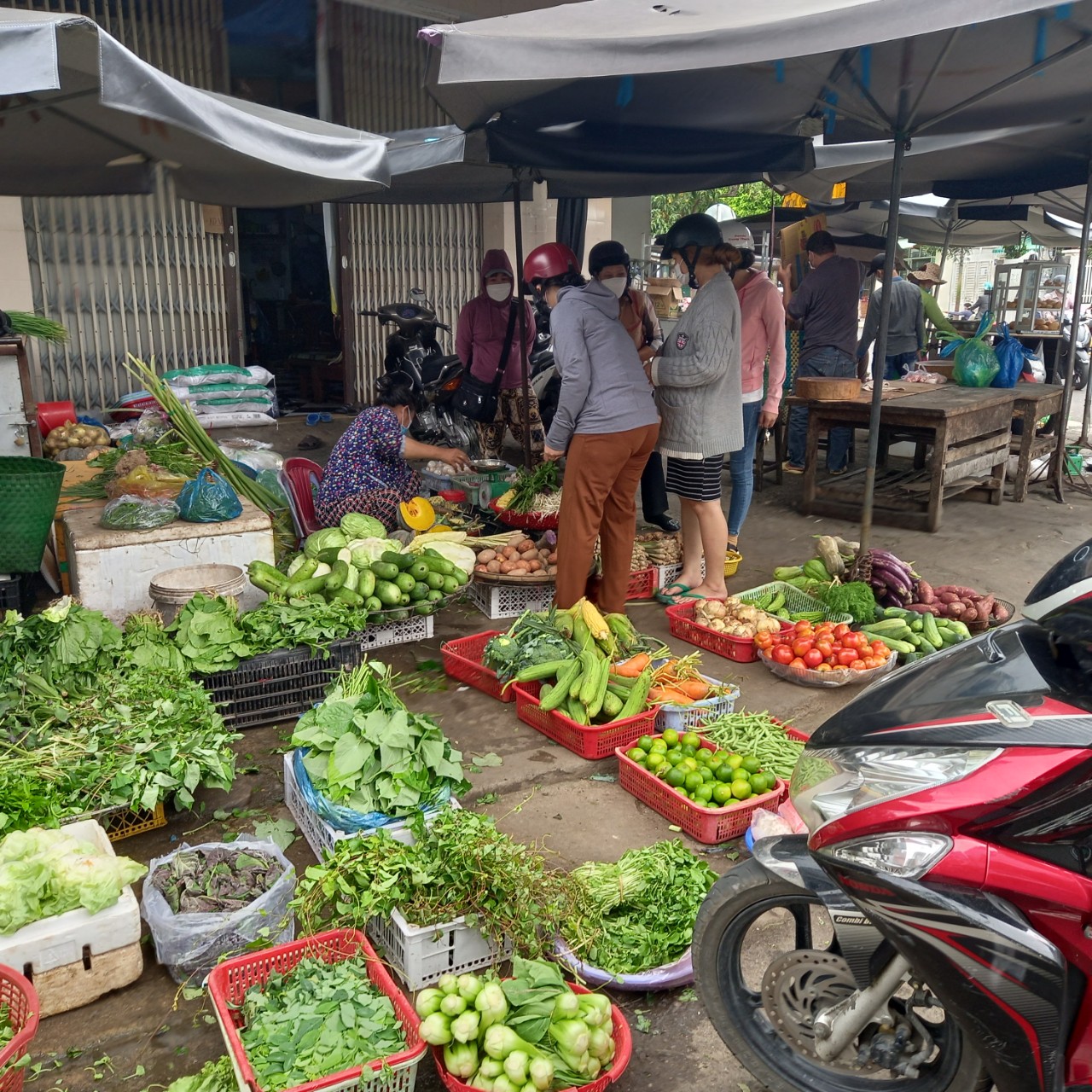 Nhộn nhịp mua lá xông mùa COVID-19 - Ảnh 3. Nhộn nhịp mua lá xông mùa COVID-19 - Ảnh 3.
