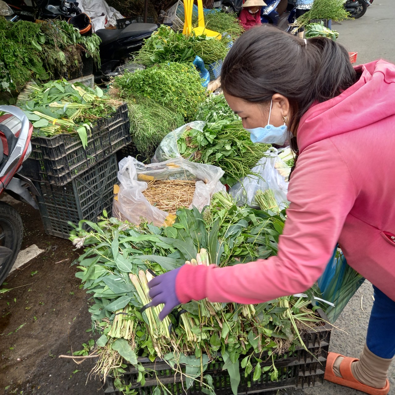 Nhộn nhịp mua lá xông mùa COVID-19 - Ảnh 5. Nhộn nhịp mua lá xông mùa COVID-19 - Ảnh 5.