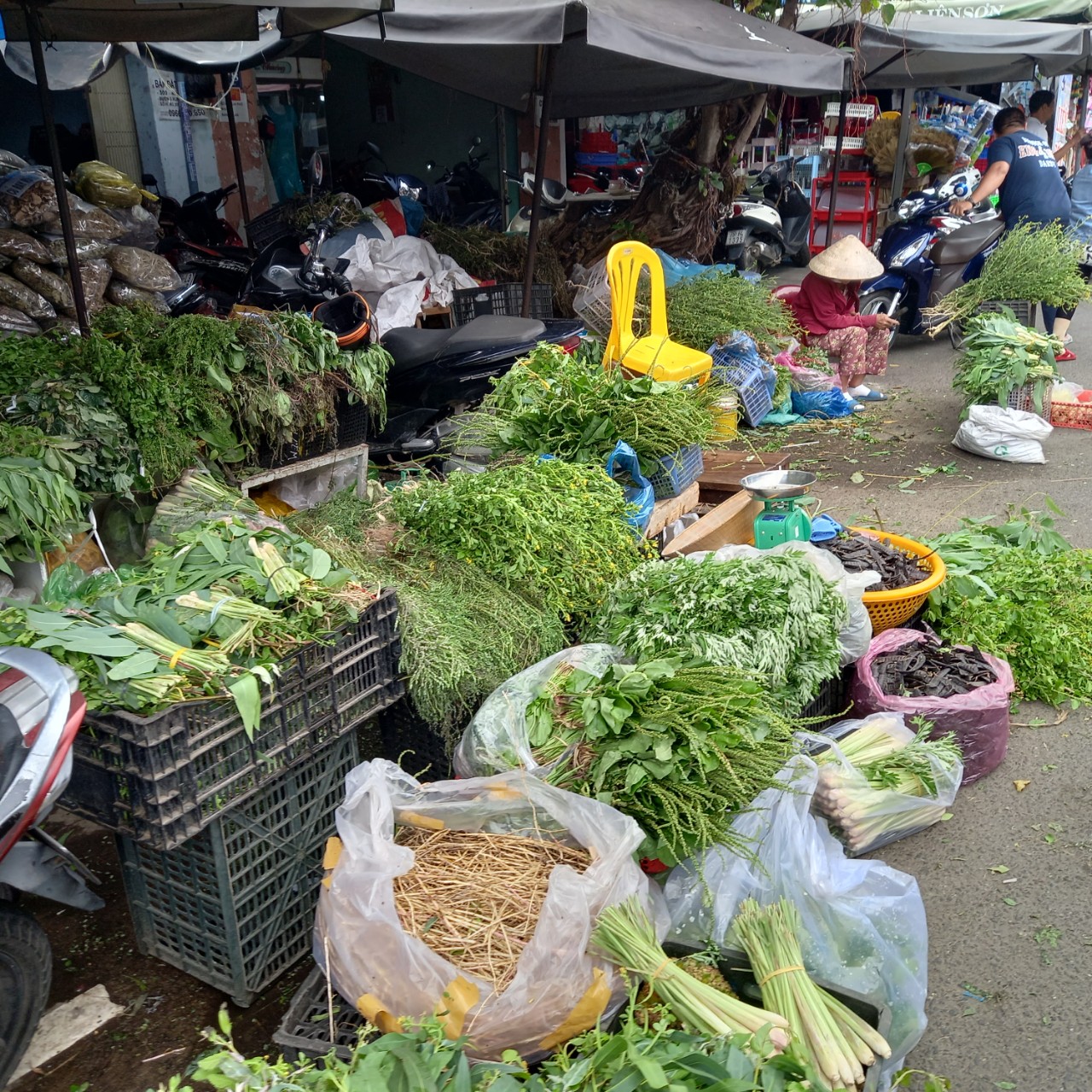 Nhộn nhịp mua lá xông mùa COVID-19 - Ảnh 6. Nhộn nhịp mua lá xông mùa COVID-19 - Ảnh 6.