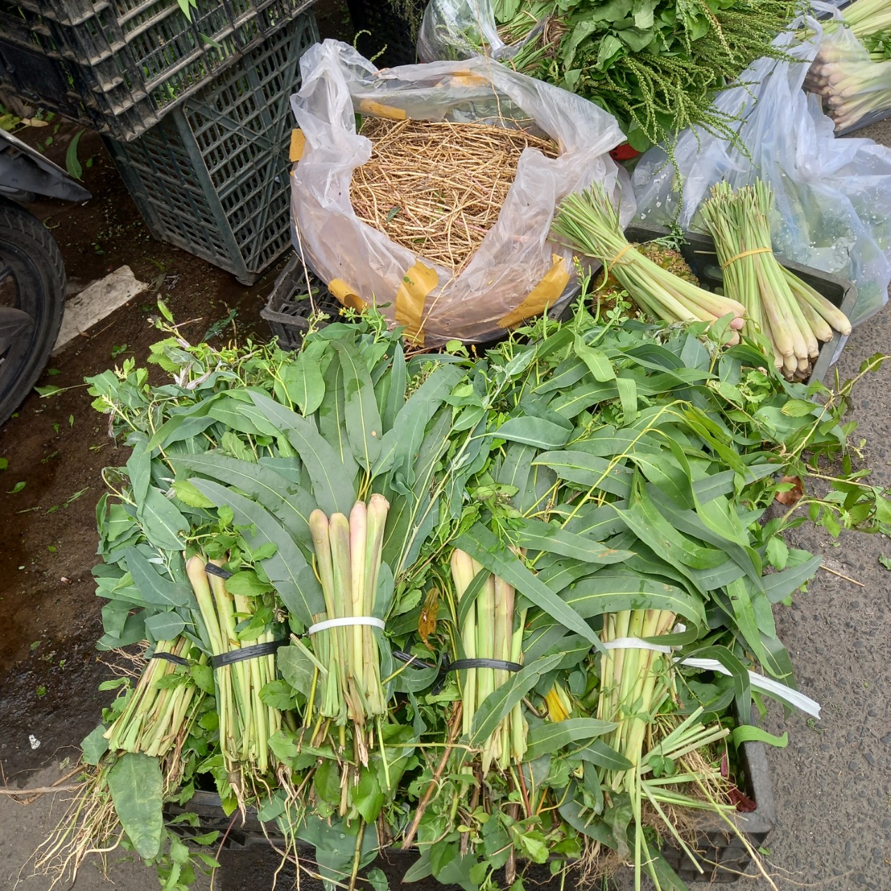 Nhộn nhịp mua lá xông mùa COVID-19 - Ảnh 7. Nhộn nhịp mua lá xông mùa COVID-19 - Ảnh 7.