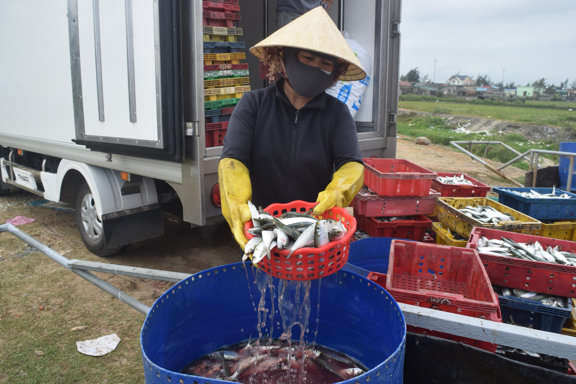 Ngư dân vùng bãi ngang buồn vì sản lượng bấp bênh, giá dầu tăng cao - Ảnh 13.