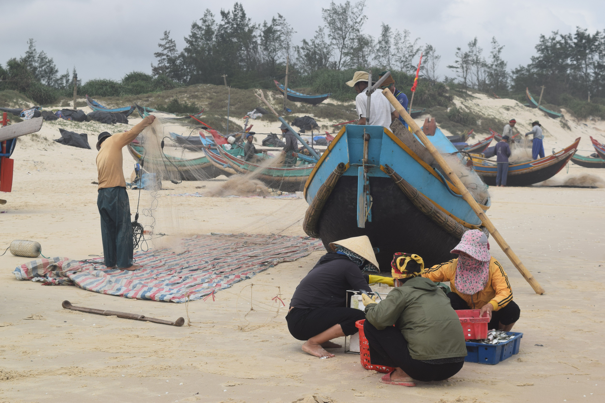 Ngư dân vùng bãi ngang buồn vì sản lượng bấp bênh, giá dầu tăng cao - Ảnh 2.