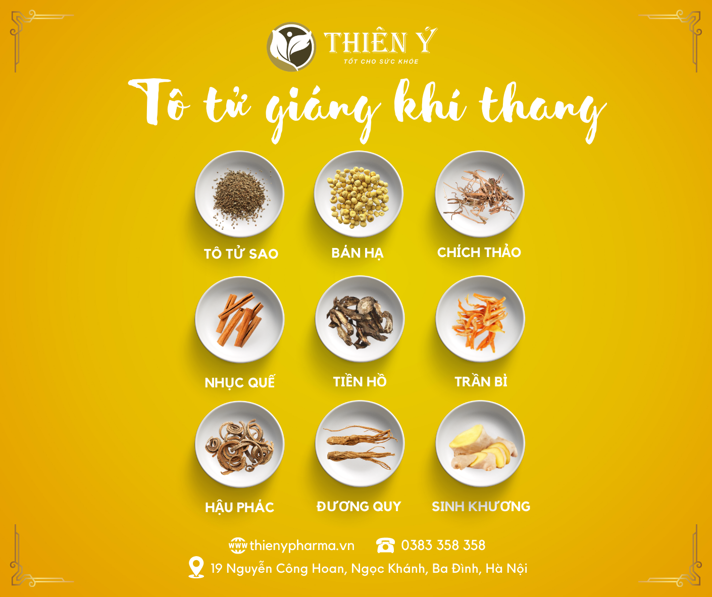 Bài thuốc thảo dược hỗ trợ bổ phổi, giảm ho phế quản - Ảnh 2.