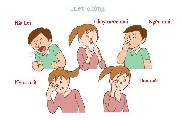 1. Tổng quan về ngứa mắt ngứa mũi hắt xì