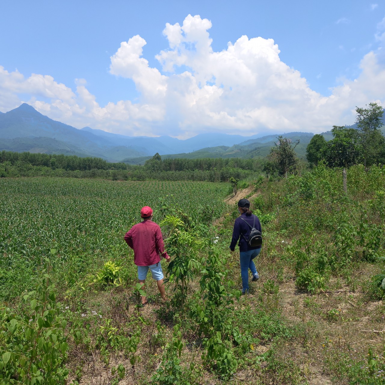 "Sốt đất" ở xứ Trầm Hương, “cò” chạy loạn xạ - Ảnh 4.