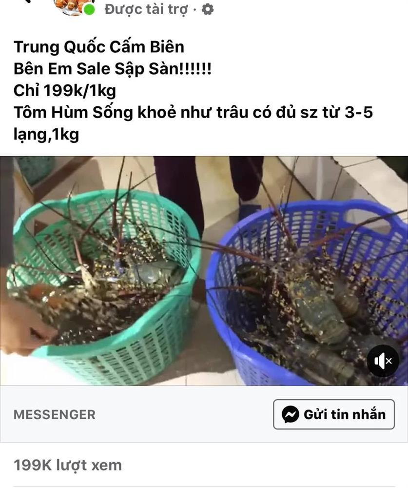 Tôm hùm sale sập sàn, hơn 100.000/kg - Ảnh 2.