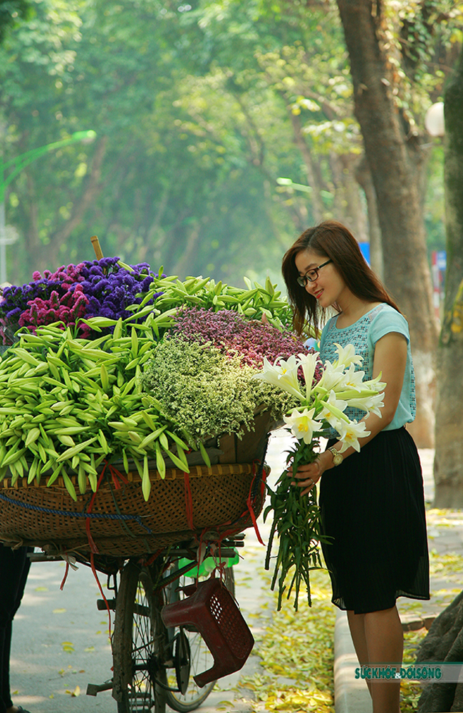 Hãy thưởng thức hình ảnh những bông hoa loa kèn tuyệt đẹp, với hình dáng và màu sắc phong phú, chúng sẽ khiến cho bạn cảm thấy như mình đang đứng giữa một vườn hoa rực rỡ.