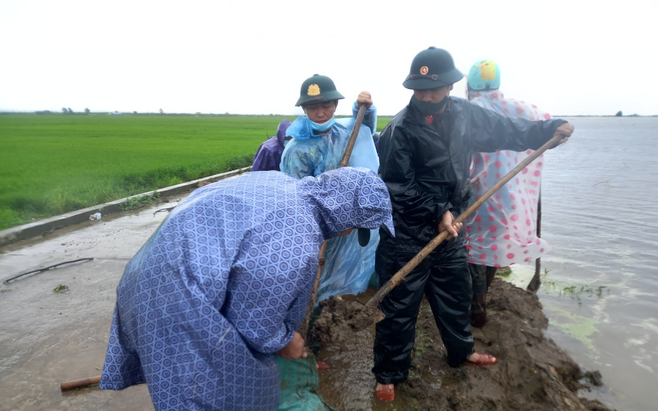 Bộ đội, dân quân dầm mưa giúp dân cứu lúa trước nguy cơ bị ngập 