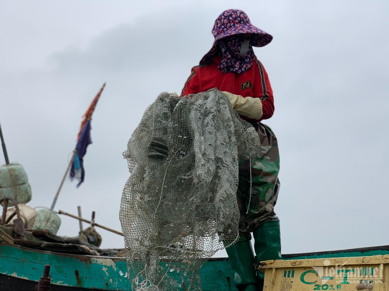 Nửa đêm ra biển 'hái lộc': Bắt loài trong veo, mềm nhũn... thu tiền triệu - Ảnh 6.