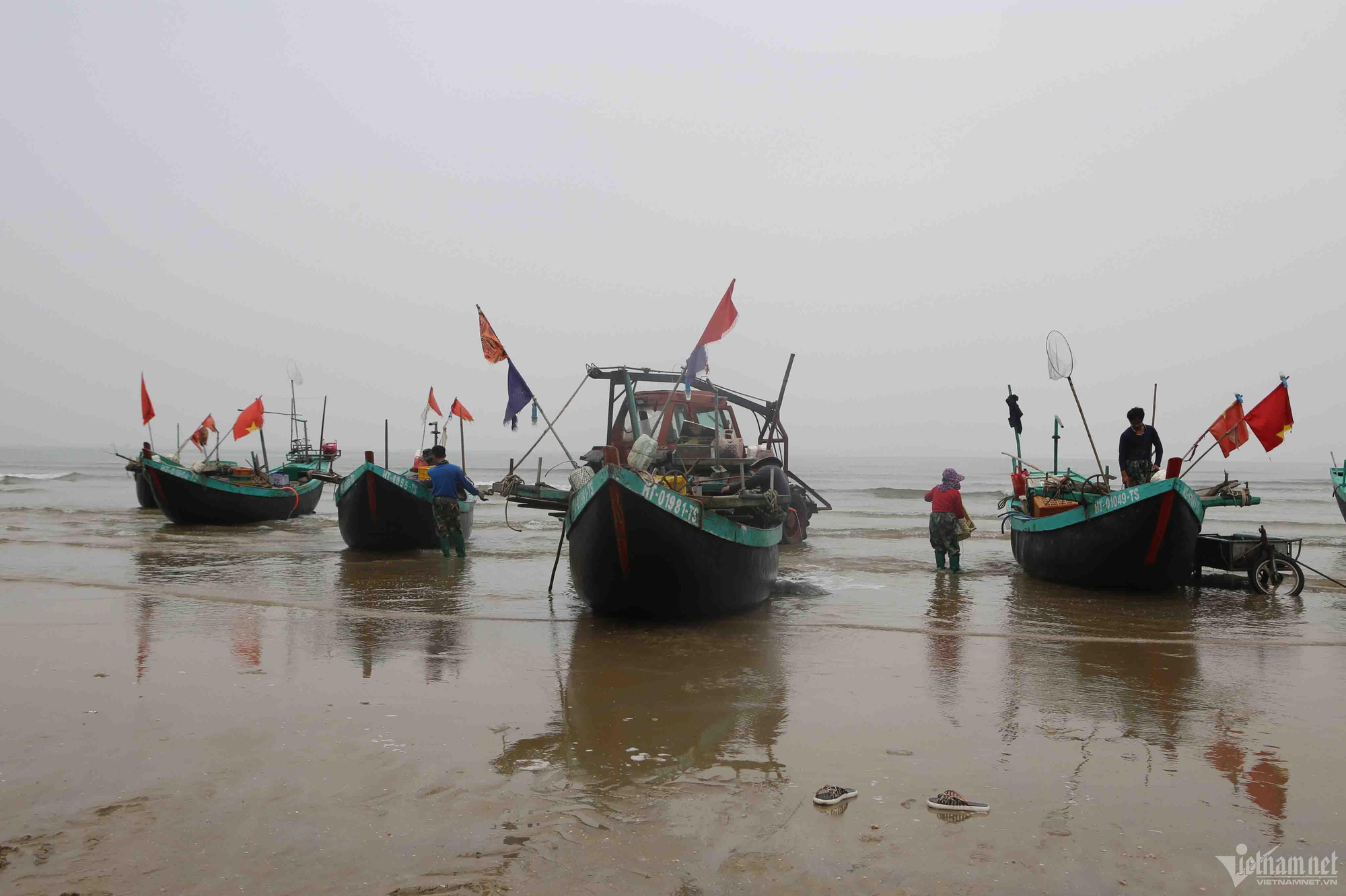 Nửa đêm ra biển 'hái lộc': Bắt loài trong veo, mềm nhũn... thu tiền triệu - Ảnh 4.