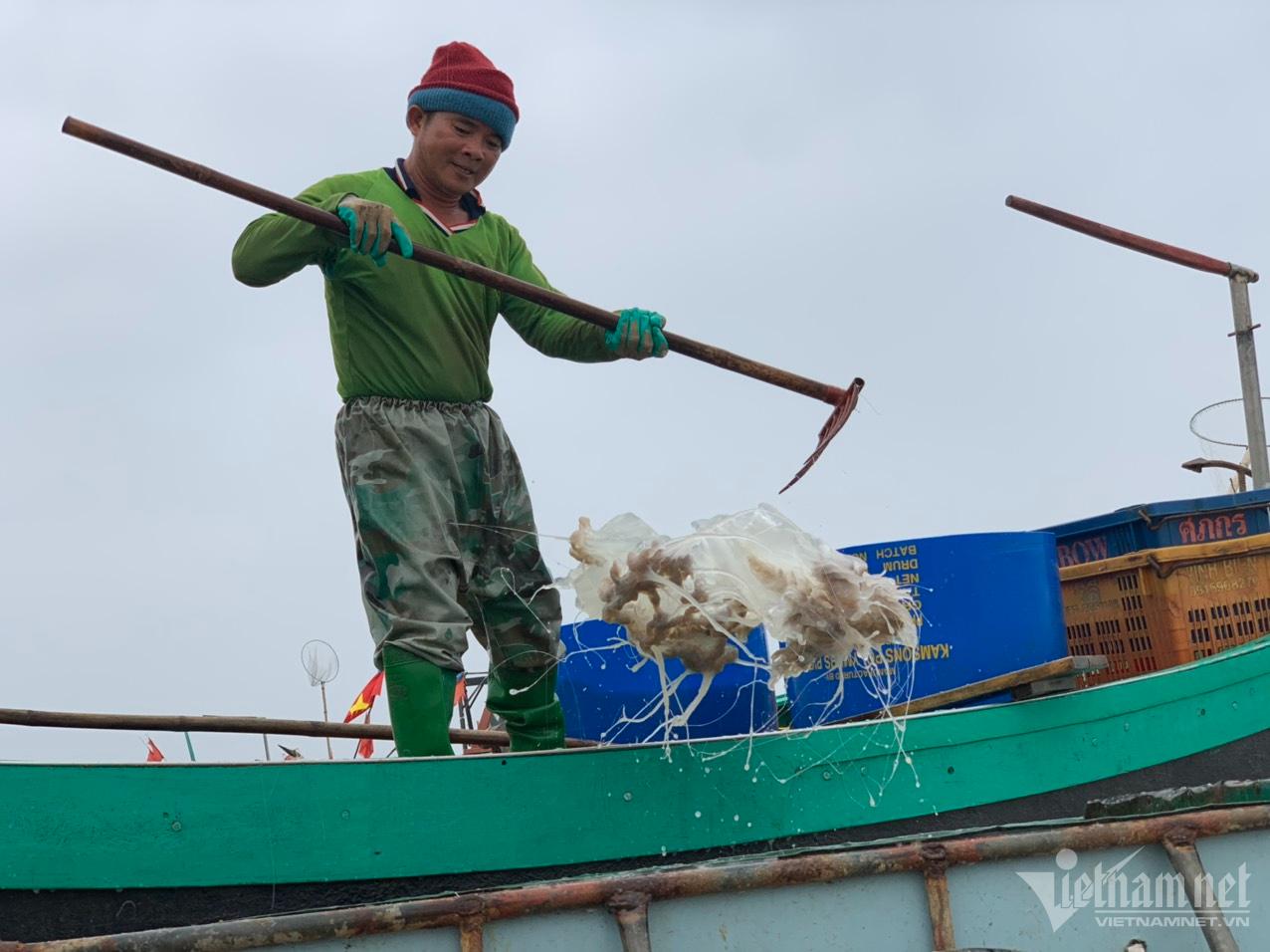 Nửa đêm ra biển 'hái lộc': Bắt loài trong veo, mềm nhũn... thu tiền triệu - Ảnh 7.