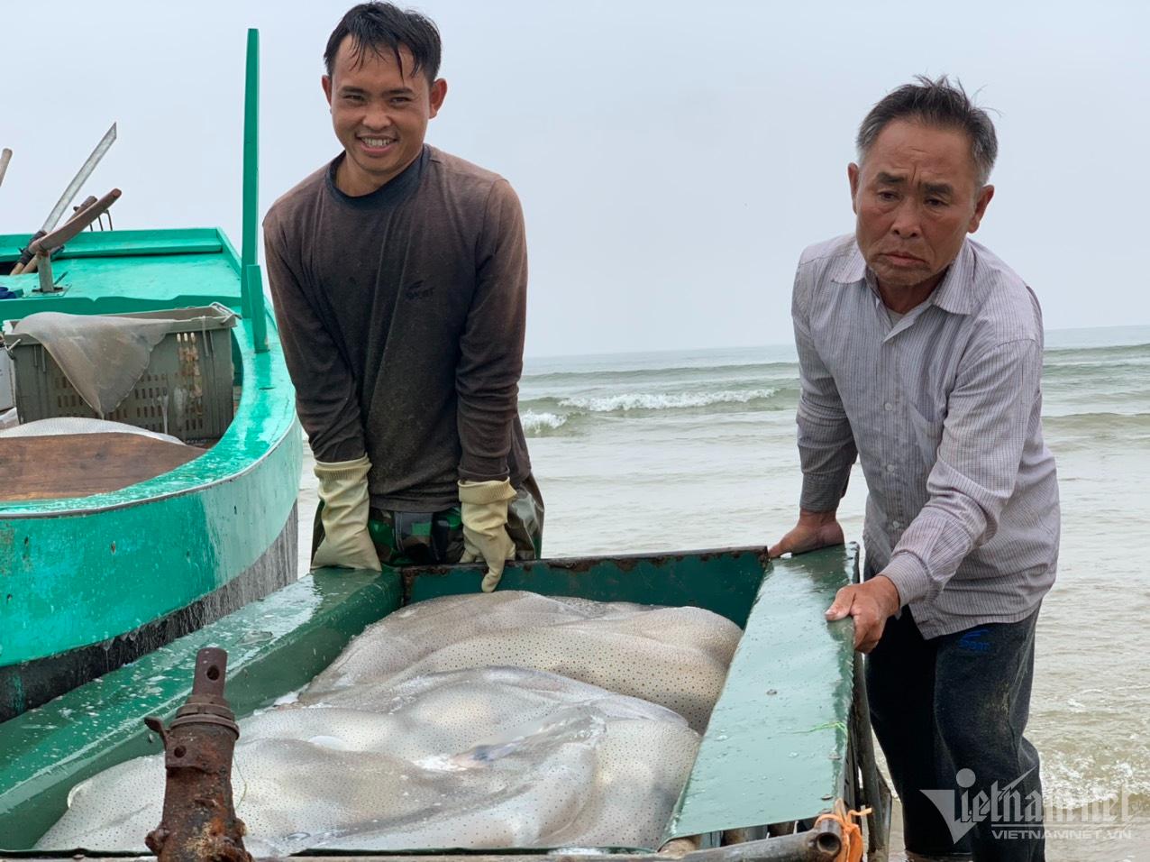 Nửa đêm ra biển 'hái lộc': Bắt loài trong veo, mềm nhũn... thu tiền triệu - Ảnh 10.