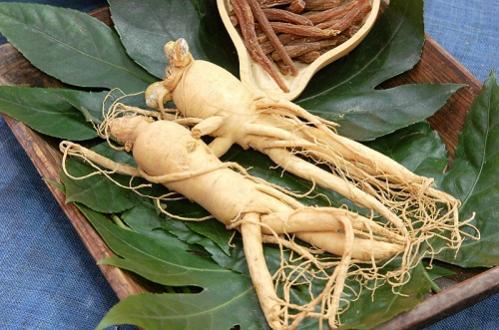 5 bài thuốc hỗ trợ trị liệt dương từ đông trùng hạ thảo