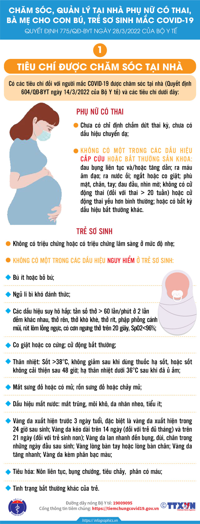 [Infographic] - Chăm sóc F0 mang thai, mẹ cho con bú và trẻ sơ sinh điều trị tại nhà - Ảnh 1.