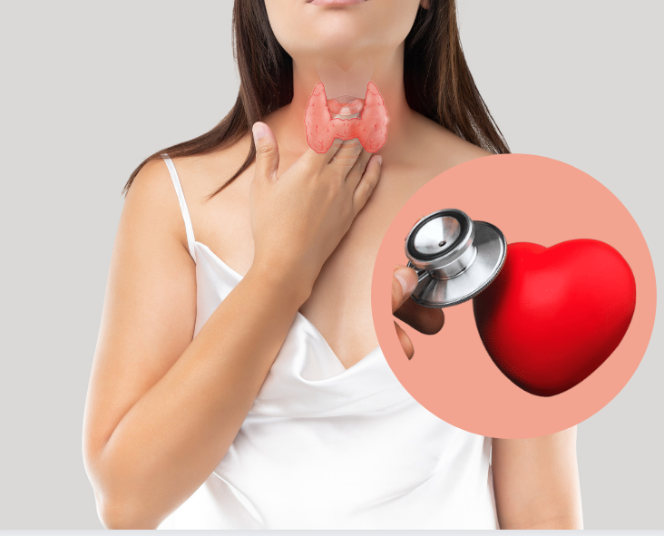 Biến chứng tim mạch là mối đe dọa lớn nhất đối với bệnh nhân suy giáp 