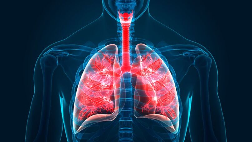 Phần mới của cơ thể được tìm thấy ẩn trong phổi - Ảnh 2.