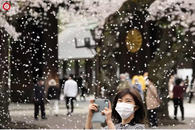 Giới trẻ Nhật Bản thích thú chụp ảnh dưới những tán hoa anh đào đẹp mê mẩn - Ảnh 12.