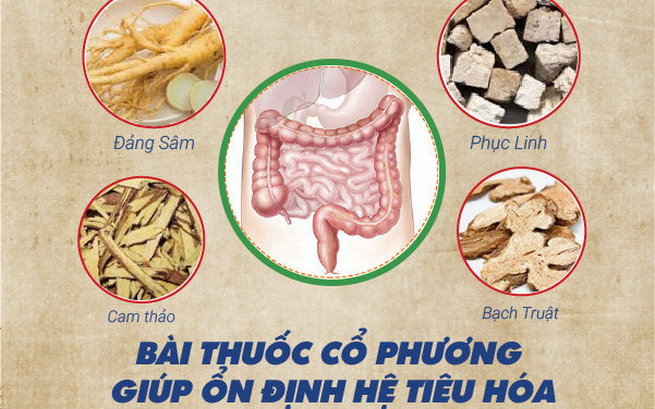 Bài thuốc cải thiện sức khỏe bệnh đường tiêu hóa