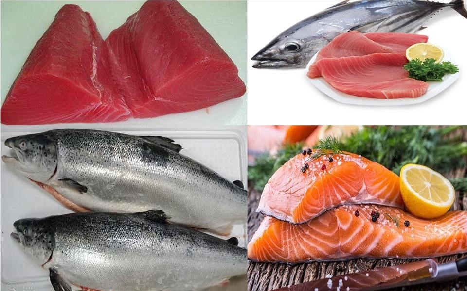 Ăn gì bổ thận? Top các loại thức ăn bổ thận bạn nên ăn thường xuyên