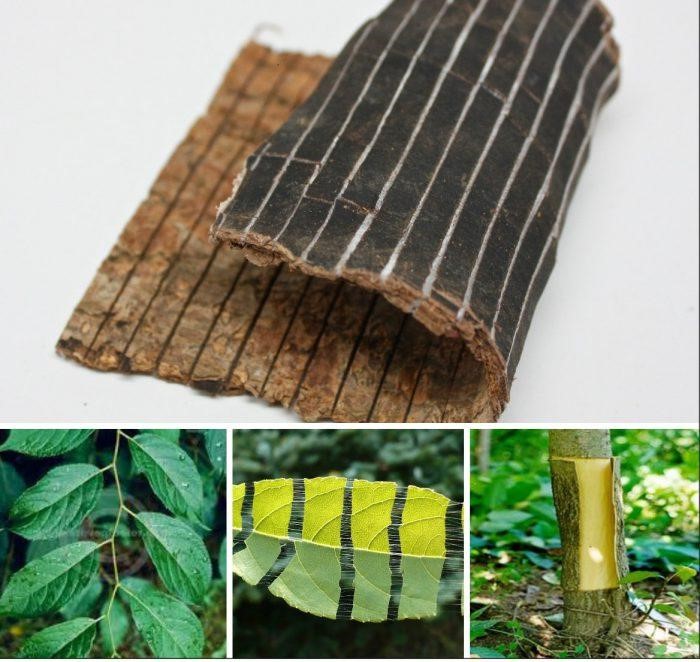 Ăn gì bổ thận? Top các loại thức ăn bổ thận bạn nên ăn thường xuyên - Ảnh 3.