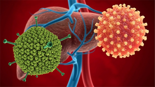 Adenovirus- nghi phạm gây bệnh viêm gan bí ẩn có khả năng gây bệnh gì? - Ảnh 1.
