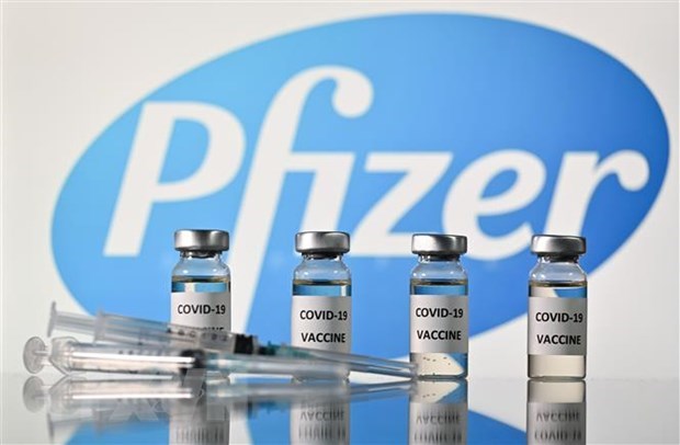 Pfizer công bố kết quả thử nghiệm vaccine đối với nhóm trẻ dưới 5 tuổi - Ảnh 1.