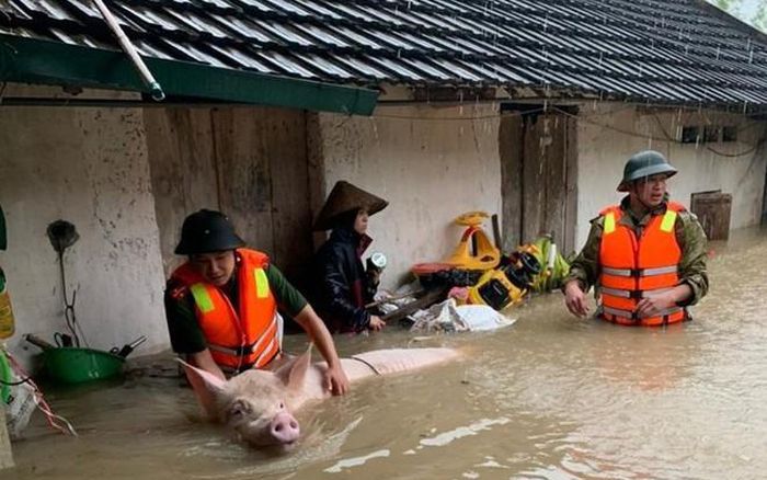 9 người chết do mưa lớn ở miền Bắc, cảnh báo một năm thiên tai khốc liệt