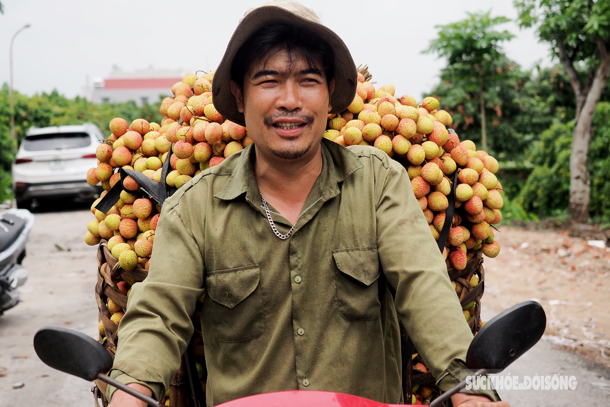 Vải thiều chín sớm được mùa, người dân Thanh Hà phấn khởi mang đi tiêu thụ  - Ảnh 4.