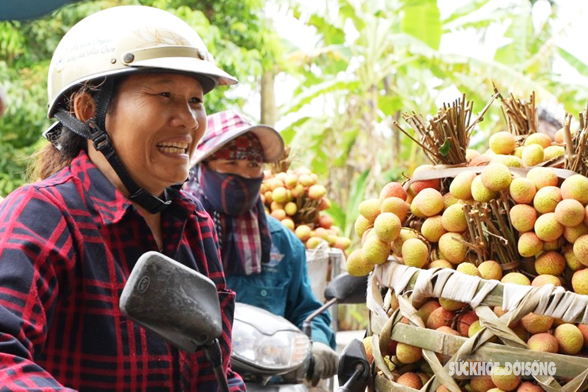 Vải thiều chín sớm được mùa, người dân Thanh Hà phấn khởi mang đi tiêu thụ  - Ảnh 10.