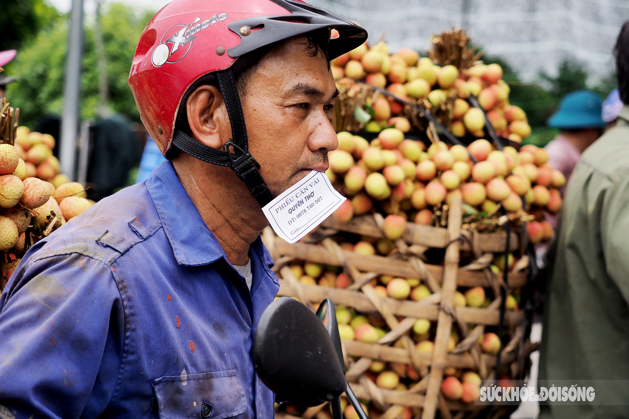 Vải thiều chín sớm được mùa, người dân Thanh Hà phấn khởi mang đi tiêu thụ  - Ảnh 13.