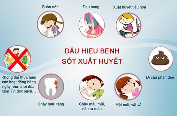  Nguyên nhân sốt xuất huyết và các phương pháp điều trị hiệu quả