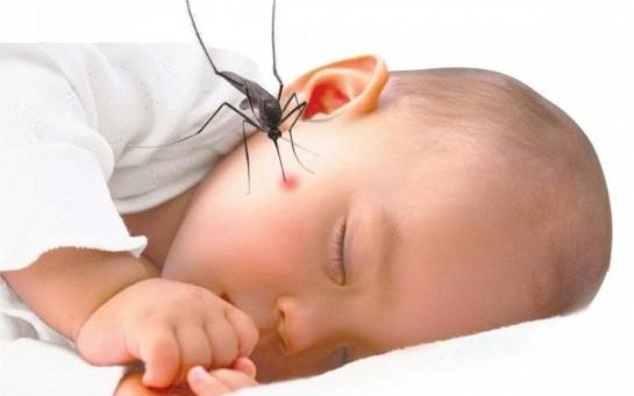 Cách chăm sóc trẻ mắc sốt xuất huyết tại nhà, cảnh giác biến chứng sốc dẫn đến tử vong