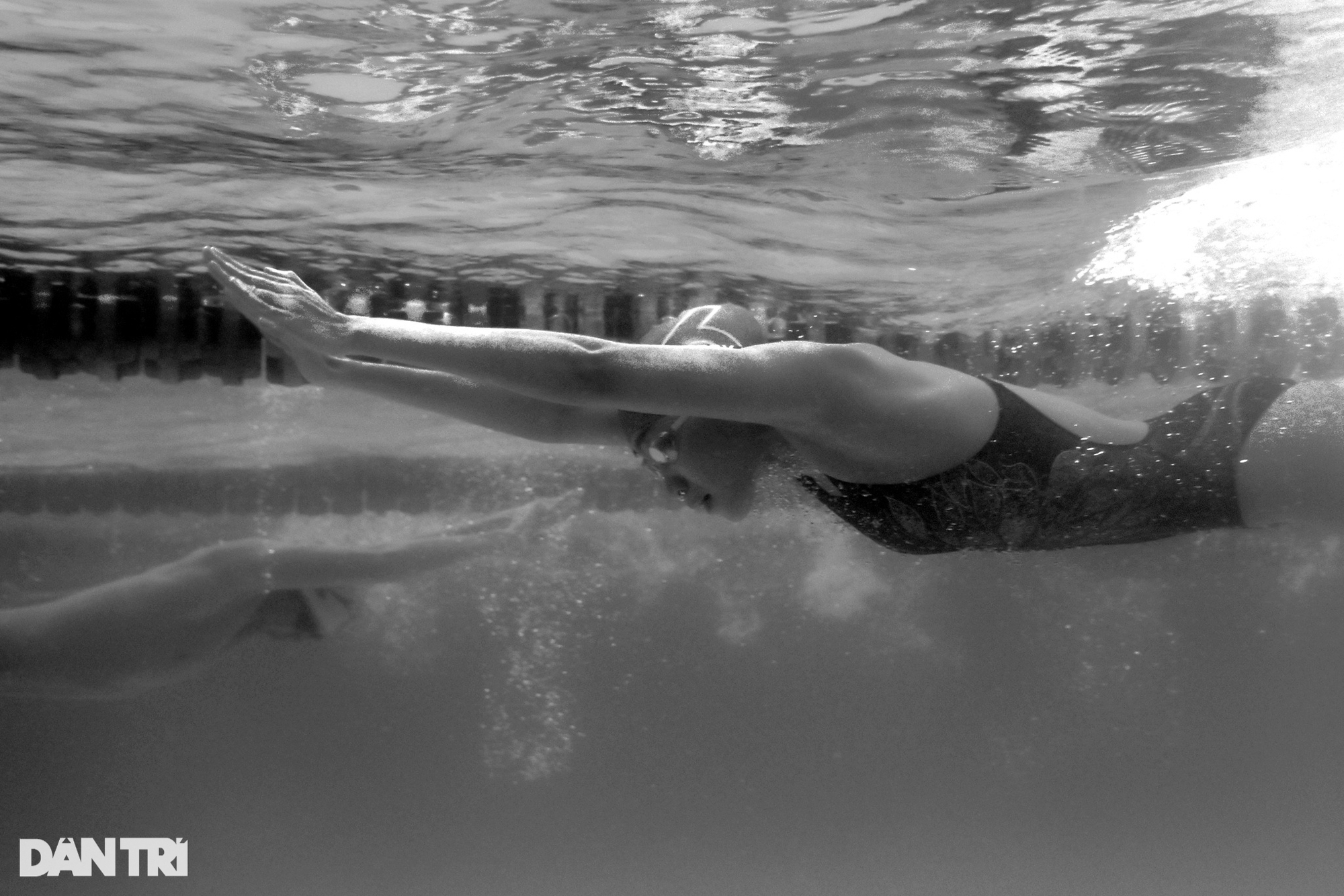 Lặn bể bơi ngắm 'kình ngư' em trai Ánh Viên tập luyện cho SEA Games 31 - Ảnh 10.