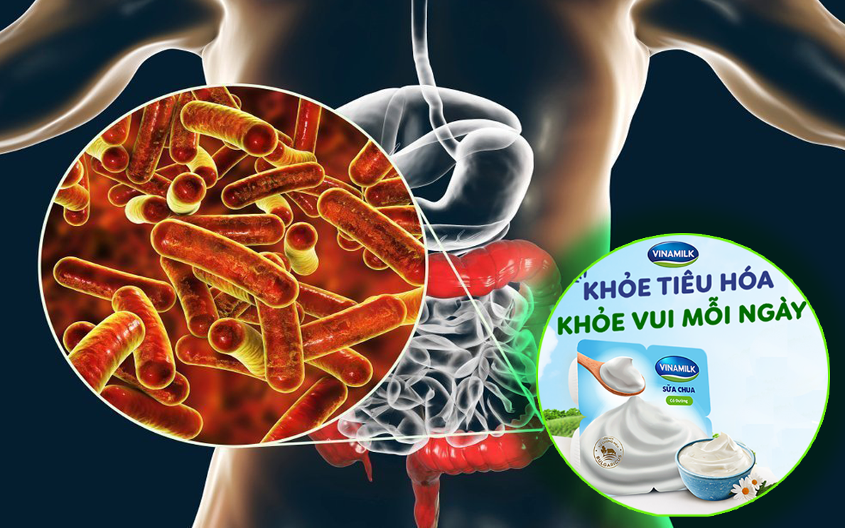Nhiễm trùng đường ruột: Cách nào để phòng ngừa?