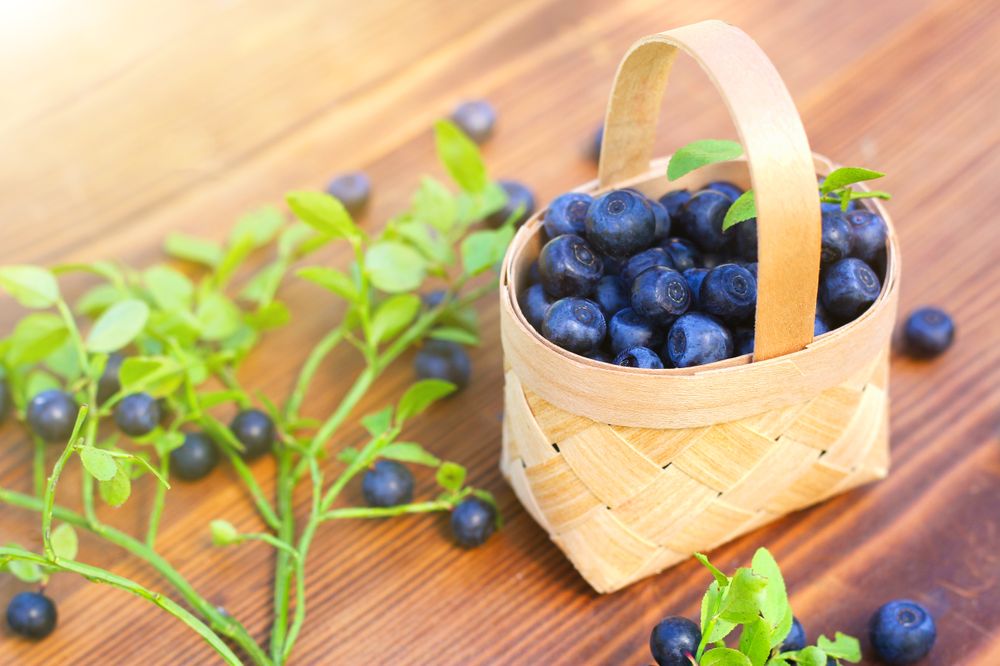 Hương Việt Quất - Blueberry - Phân Phối Phụ Gia - Hóa Chất Đại Việt