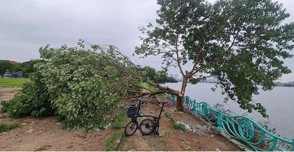 Trích xuất camera truy tìm đối tượng chặt phá “cây cô đơn” nổi tiếng ở phủ Tây Hồ - Ảnh 2.