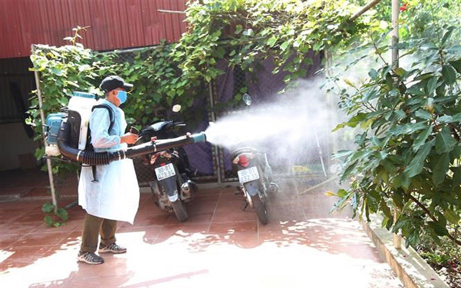 Các biện pháp tự nhiên tránh muỗi đốt phòng sốt xuất huyết đơn giản, hiệu quả