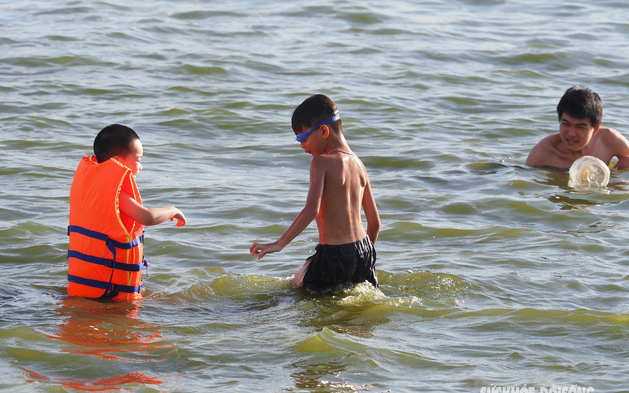 Nắng nóng 40 độ C, người Hà Nội dắt thú cưng xuống Hồ Tây giải nhiệt