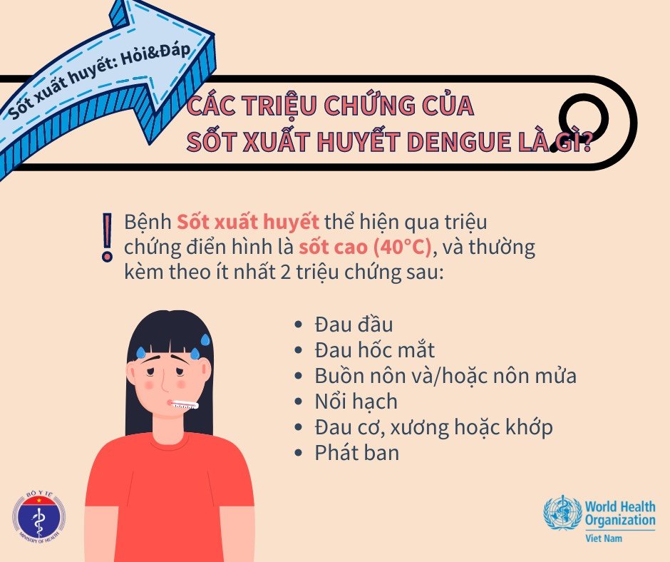 Sốt Xuất Huyết Có Triệu Chứng Gì? Dấu Hiệu Nhận Biết Và Cách Điều Trị Hiệu Quả