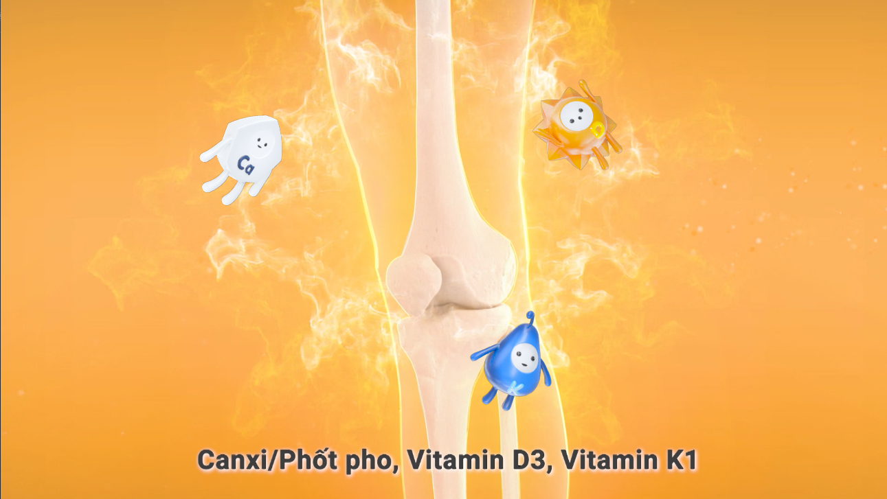 Vì sao phụ nữ mang thai nên bổ sung Canxi hữu cơ có vitamin D3, vitamin K? - Ảnh 3. Vì sao phụ nữ mang thai nên bổ sung Canxi hữu cơ có vitamin D3, vitamin K? - Ảnh 3.
